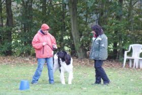 DSC00835.JPG